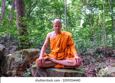 Buddha monk sitting close his eye to meditation in deep peace forest, religion concept