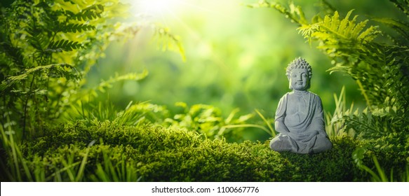 Buddha statu in natural background
