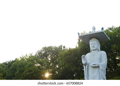 Buddha statue 
