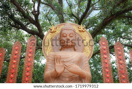 Buddha statue with big trees background. Watphuket, Pua district, Nan province, Thailand