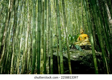 Buddha statue in Doi Chang National Park surrounded by bamboo trees
