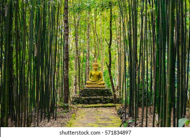 Buddha statue in middle of bamboo forest.