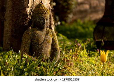 Buddha statue overgrown by moss sitting in garden grass against a tree with a vibrant yellow Dutch tulip growing in front of it catching sunrise sunlight. Spiritual and peaceful mindfulness concept. - Powered by Shutterstock