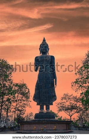Buddha statue, Buddha statue in a posture of posture, Buddhism, 
religion, church, Religious objects