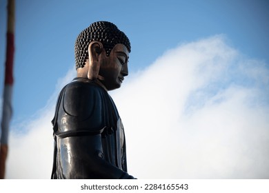 The buddha statue from side view