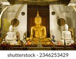 Buddha statue at the Temple of the Tooth Relic. Sri Lanka.