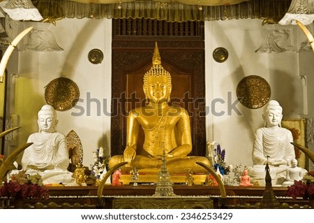 Buddha statue at the Temple of the Tooth Relic. Sri Lanka. Zdjęcia stock © 