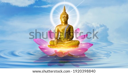 Buddha statue water lotus Buddha standing on lotus flower on background
