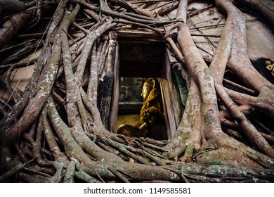 buddha statue from window 