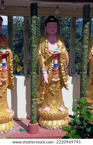 Buddha statues in the kek lok si temple in George town Penang , Maleisie Stockfoto © 