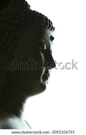 Buddha status closeup in many composition.