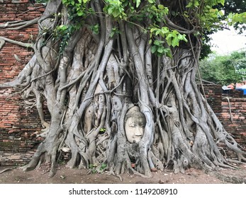 Buddha in the tree