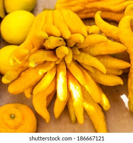 Buddha's hand, Citrus medica var. sarcodactylis  is a fragrant citron variety whose fruit is segmented into finger-like sections.