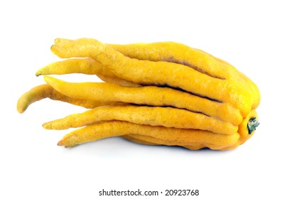 Buddha's hand lemon on a white background. Unusual citrus fruit from Asia.