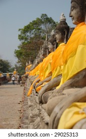 Buddhas in a row