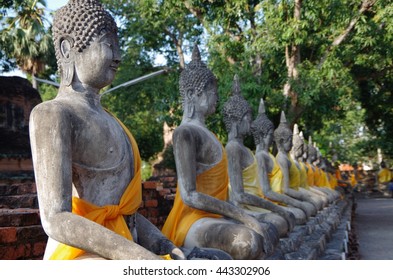 Buddhas in a row