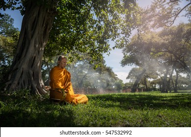 Buddhist Monk Meditating Under A Tree At Ayutthaya,buddhist Temple  Monk Thailand, 