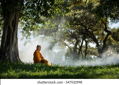 Buddhist Monk Meditating Under A Tree At Ayutthaya,buddhist Temple  In Thailand