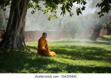 4,893 Meditating under a tree Images, Stock Photos & Vectors | Shutterstock