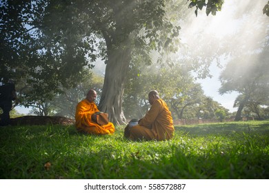 766 Man meditating under tree Images, Stock Photos & Vectors | Shutterstock