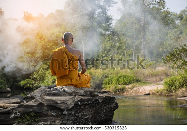 Buddhist Monk Meditation Nature Amidst Hot Stock Photo 530315323 ...