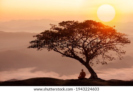 Buddhist monk in meditation under the tree at beautiful sunset or sunrise background 