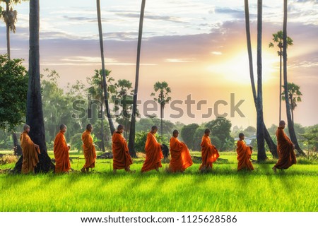 Buddhist monk and Buddhist novice with good spiritual going about with alms bowl to receive food from people in morning by walking in row across rice field with palm trees to village in Thailand