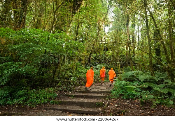 Buddhist Monk Walking in the Rain