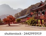 Buddhist temple buildings high in the mountains in autumn. Seoraksan National Park. mountain autumn landscape. South Korea	