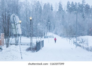buddy in cold