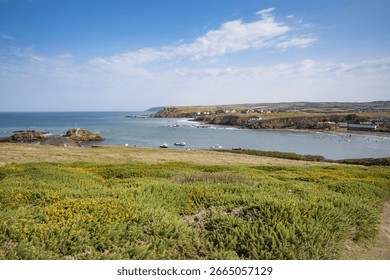 Bude vista from cliif top Cornwall during summer