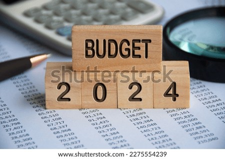 Budget 2024 text on wooden blocks with data analysis and office concept background. Budgeting concept.