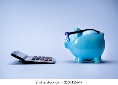 Budget And Financial Advice. Piggy With Calculator