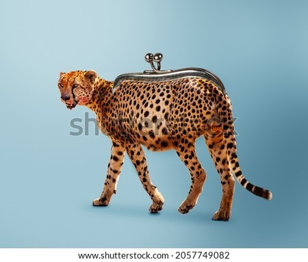 Budget safari - happy cheetah and wallet concept mixed media image