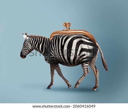 Budget safari - happy zebra and wallet concept mixed media image