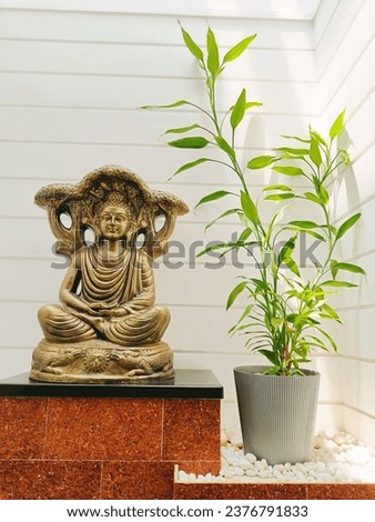 Budha sitting in meditation among the plants