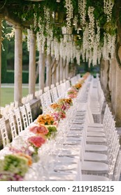 Budva, Montenegro - 15.07.21: A very long table for guests with a white tablecloth, floral arrangements, glass plastic transparent chairs Chiavari. Under the old columns with vines of wisteria.