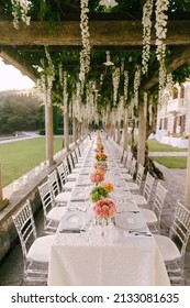 Budva, Montenegro - 18.07.21: Wedding dinner table reception. Under the old columns with vines of wisteria.