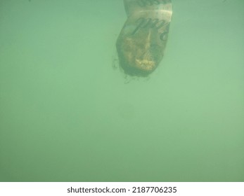 Budweiser Beer Can Underwater.Trash In The Lake In Ukrainian Capital. Environmental Contamination. Illegal Junk Dump. December 18, 2020 Kiev,Ukraine