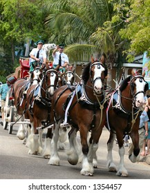 Budweiser Clydesdales in parade