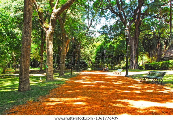 Buenos Aires Botanical Garden Stock Photo Edit Now 1061776439