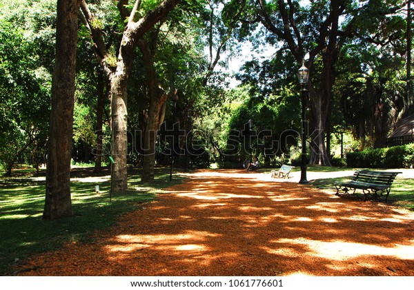 Buenos Aires Botanical Garden Stock Photo Edit Now 1061776601