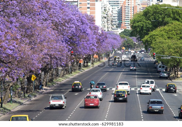 Buenos Aires November 11 Spring Flowering Stock Photo Edit Now 629981183