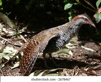 Buff Banded Rail Stretching