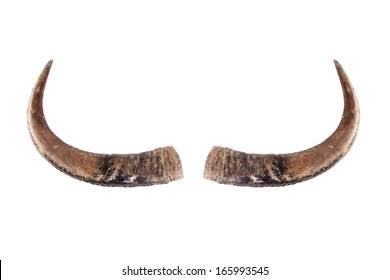 med sig hvid Tilsvarende Buffalo horns Images, Stock Photos & Vectors | Shutterstock