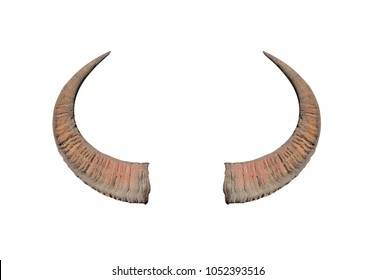med sig hvid Tilsvarende Buffalo horns Images, Stock Photos & Vectors | Shutterstock