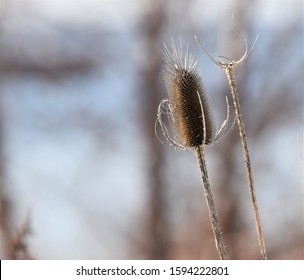 Buffalo, NY/USA - December 20, 2019: Wilkeson Pointe At Outer Harbor, Fuhrman Boulevard On Lake Erie In Winter In Downtown Buffalo