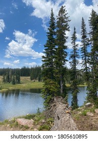 Buffalo Pass Steamboat Springs Colorado