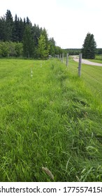 Buffer Zone Made Between The Electric Fence And The Yard To Keep Sheep Off Of The Lawn