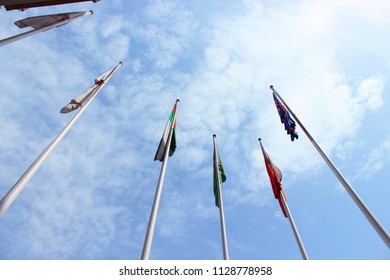 Bug eye view of Flags in the Air